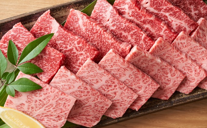 博多 和牛 焼肉 セット 500g A4～A5 配送不可：離島