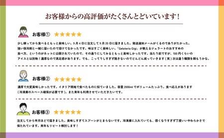 ジェラテリアGigiのイタリアンジェラート『イタリア産ピスタチオ』2000ml【430019】