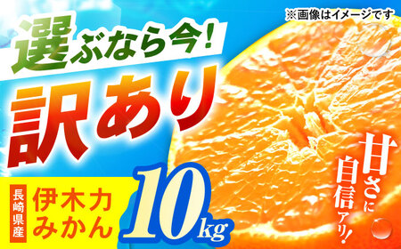 訳あり 伊木力みかん 10kg [AHCF020] みかん