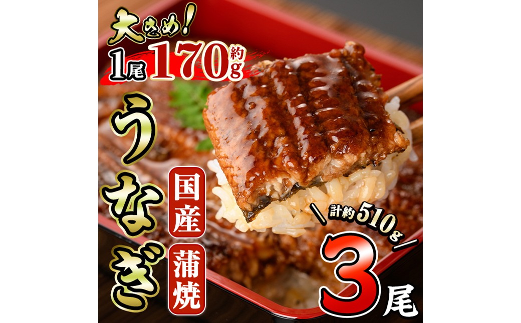 国産 うなぎ 蒲焼 (約170g×3尾) 鰻 タレ かば焼き うな重 うな丼 ひつまぶし 小分け 真空包装 真空パック 【丸正水産】【AW-90】