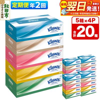 ふるさと納税 秋田市 《2回定期便》クリネックス ティシュー 20箱 ティッシュ|15_nsc-030402