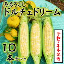 【ふるさと納税】【令和7年11月より順次発行】先行予約　朝採り「冬もろこし」「ドルチェドリーム」10本以上　約5キロ【配送不可地域：離島・北海道・沖縄県・中国・四国・九州】【1570054】