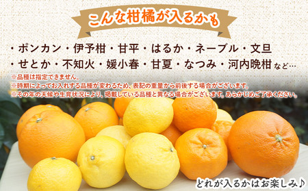 ＜笑丸のお楽しみ柑橘福袋（家庭用）約7kg＋500g＞感謝企画 自宅用 訳あり 果物 くだもの フルーツ ミカン みかん 蜜柑 高級柑橘 詰め合わせ 春柑橘 春みかん 夏柑橘 特産品 笑丸 愛媛県 西
