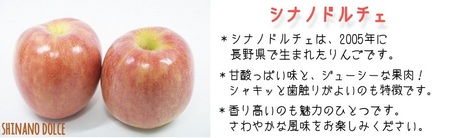 りんご シナノドルチェ 特選 5kg やまじゅうファーム 沖縄県への配送不可 2025年9月中旬頃から2025年10月上旬頃まで順次発送予定 令和7年度収穫分 信州の環境にやさしい農産物 減農薬栽培 