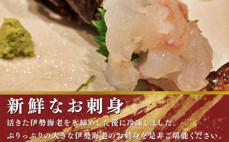 活〆 冷凍 伊勢海老 2匹（1匹 約300～600g） 計 約1kg 伊勢海老 伊勢海老 伊勢海老 伊勢海老 伊勢海老 治吉水産