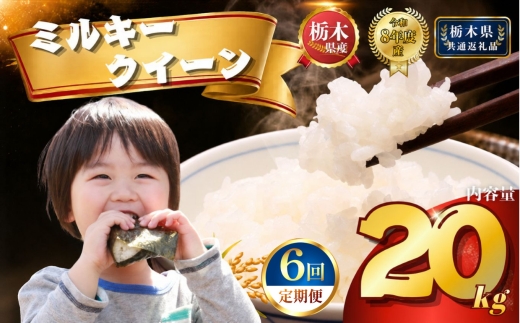 【令和8年産】定期便6回 ミルキークイーン 20kg | 米 こめ 白米 精米 お米  栃木米 ブランド米 【栃木県共通返礼品 栃木県産】 栃木県 下野市 しもつけ市