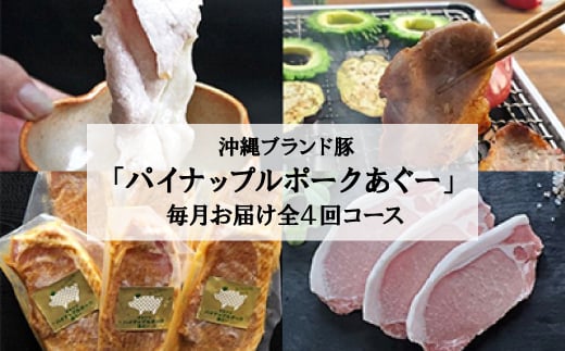 
＜毎月定期便＞4ヵ月定期便!パイナップル ポーク あぐー 満腹セット全4回【4009592】
