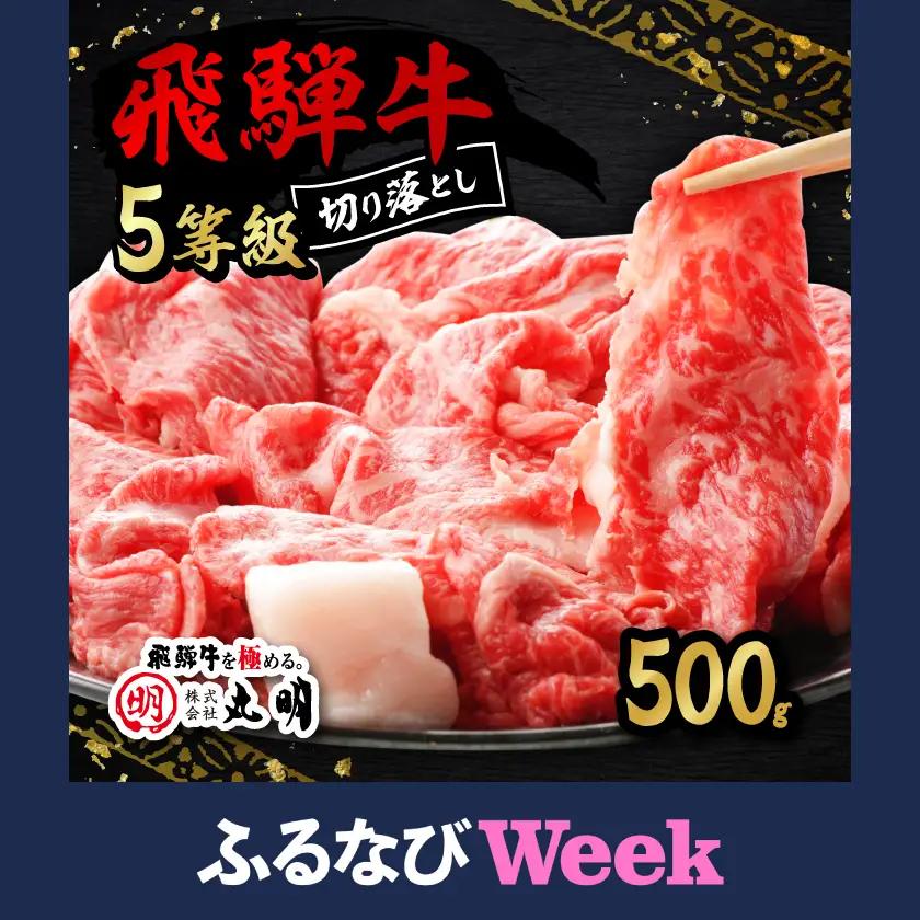 【ふるなびWEEK対象】【訳あり】飛騨牛5等級　切り落とし用途いろいろ　500g【配送不可地域：離島】【1034745】