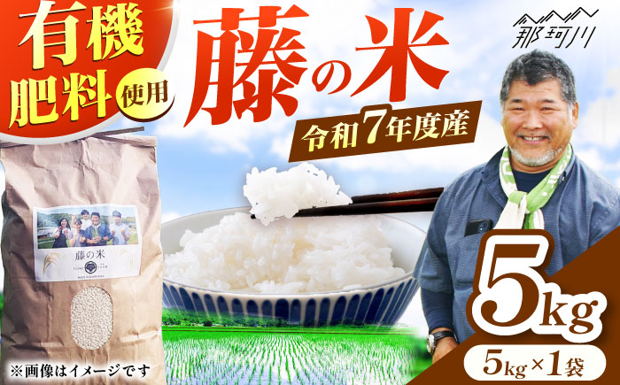 【10営業日以内に発送！】米 令和7年度産 藤の米(ふじのまい) 5kg ＜フジノ農園＞那珂川市 [GCO003] おこめ ご飯 夢つくし 元気つくし 米