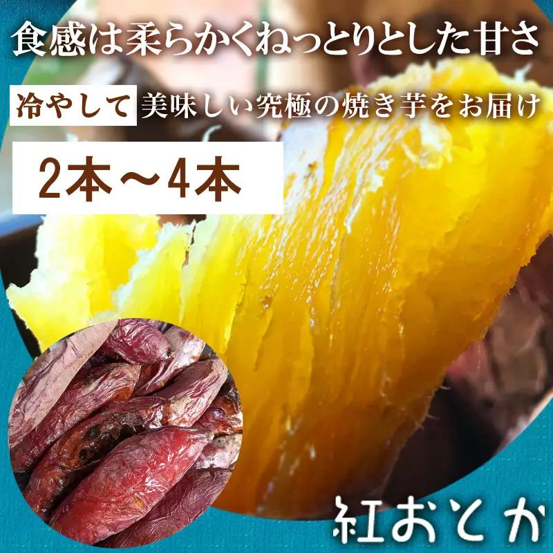 『先行予約』【11月上旬より順次発送】冷凍焼き芋 紅おとか (紅はるか系)＆ハニープぺル(安納芋) 食べ比べセット (合計1.2kg)
