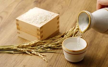 熊本の銘店がオススメする熊本県産酒こだわり日本酒 720ml 2本セット 16度 純米吟醸酒 純米酒