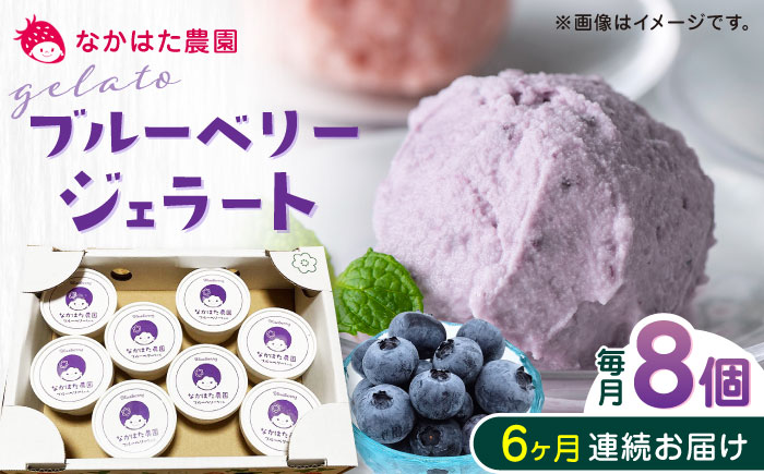 【限定数量】【全6回定期便】熊本県産 ブルーベリージェラート 8個 アイス カップ 熊本 山都町 冷凍【なかはた農園】[YBI038]