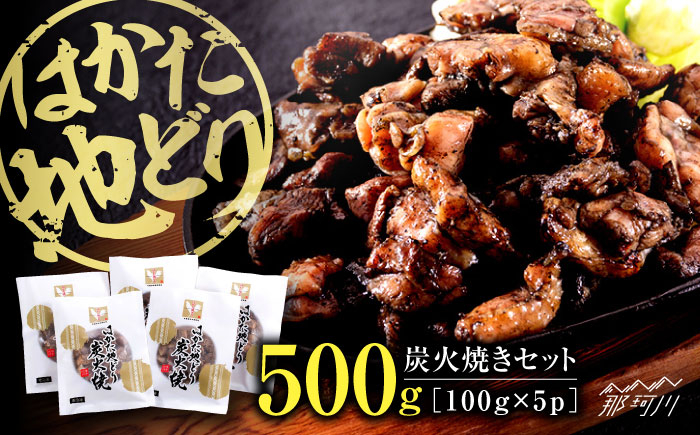
はかた地どり炭火焼きセット500g(100g×5p)＜株式会社MEAT PLUS＞那珂川市 [GBW119]
