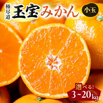【ふるさと納税】【愛媛名産】玉宝みかん【雫・・小玉】 3kg/5kg/10kg/20kg_ みかん ミカン 玉宝 愛媛のみかん 小玉 2S以下 柑橘 果物 フルーツ 美味しい 甘い 愛媛 愛媛県 八幡浜市 人気 送料無料 【G1510738】