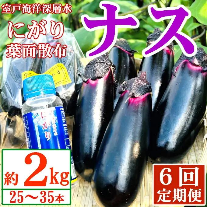 【定期便6回発送】農家直送　土佐の美味茄子の新鮮ナス　２kg　（室戸海洋深層水にがり使用） 野菜 なす ナス 常温 小袋 国産 夏野菜 茄子 小分け 旬 42000円 高知 頒布会