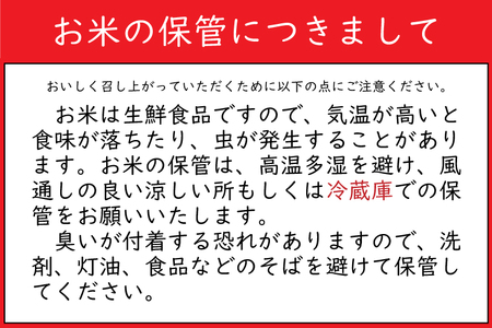 【新米 先行予約】令和6年産 銀河のしずく 10kg (精米) 低農薬栽培米 生産者直送 (EI003)