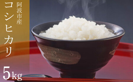 コシヒカリ 5kg 令和7年産 米 こめ ご飯 ごはん おにぎり お米 お米 お米