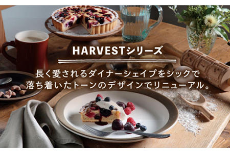 【美濃焼】HARVEST アメリカンカップ＆ソーサー 3色セット（光洋陶器）【cierto】 [MCD153]