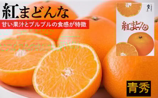 紅まどんな【JAえひめ中央】 青秀　L～2Lサイズ  みかん ミカン 蜜柑 果物 くだもの フルーツ 高級 贈答 ギフト 贈り物 柑橘 柑橘類 かんきつ 愛媛果試第28号 愛果28号 常温 国産 愛媛 愛媛県 松山市