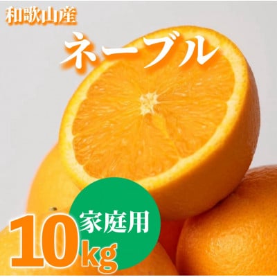 【2027年1月上旬より順次発送】和歌山県産ネーブル　10kg家庭用(サイズ混合)【まごころ手選別】【1746346】