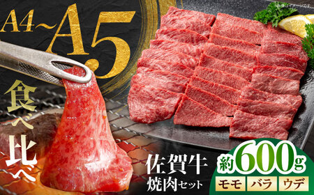 佐賀牛 焼肉セット A モモ バラ ウデ　約600g 【JAさが 杵島支所】[HAM091]