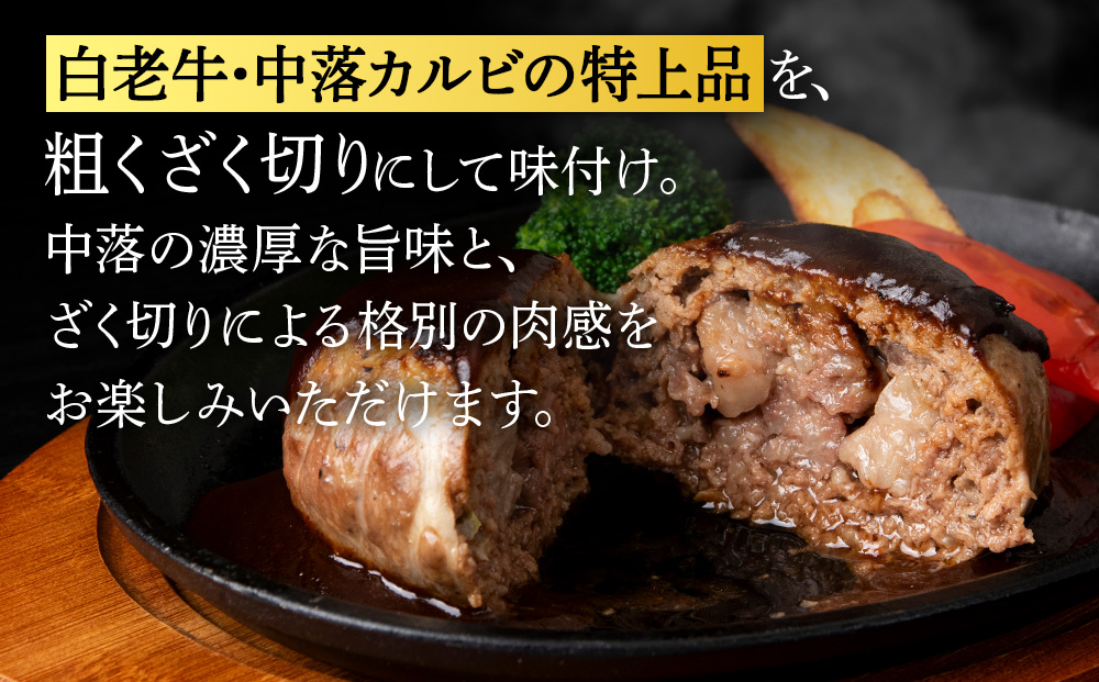 【12ヶ月定期便】白老牛　中おちプレミアムハンバーグ200g×5個【かねかん】