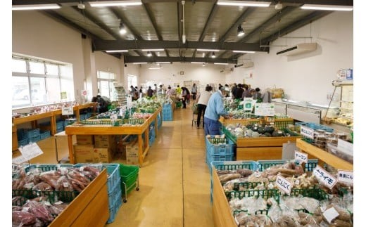 【12月発送】野菜セット ＼ 12品 前後でお届け／ 産直あぜみち 旬の野菜ボックス 新鮮野菜 厳選 やさい フレッシュ 詰め合せ 季節 旬 おまかせ 産地直送 季節限定  【毎月6セット限定】あぜみち 岩手県 北上市 B0238