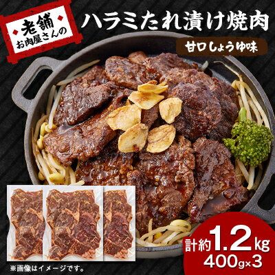 【ふるさと納税】《約1.2kg》当店注文率No.1のハラミたれ漬け焼肉(甘口しょうゆ味)　ホットプレート派に人気_焼肉 ハラミ 味付き肉 たれ漬け 肉 牛肉 冷凍 美味しい 人気 ホットプレート バーベキュー こだわり タレ漬け 老舗 精肉店 【配送不可地域：離島】【1677668】