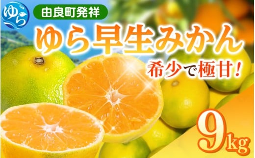 【先行予約】和歌山県産 ゆら早生みかん 9kg  ※2025年10月中旬頃より順次発送予定 / 和歌山県 柑橘 みかん 甘い 蜜柑 フルーツ 果物 くだもの 食品 人気  晩柑 おすすめ 送料無料 産地直送 由良町【kzmn006】