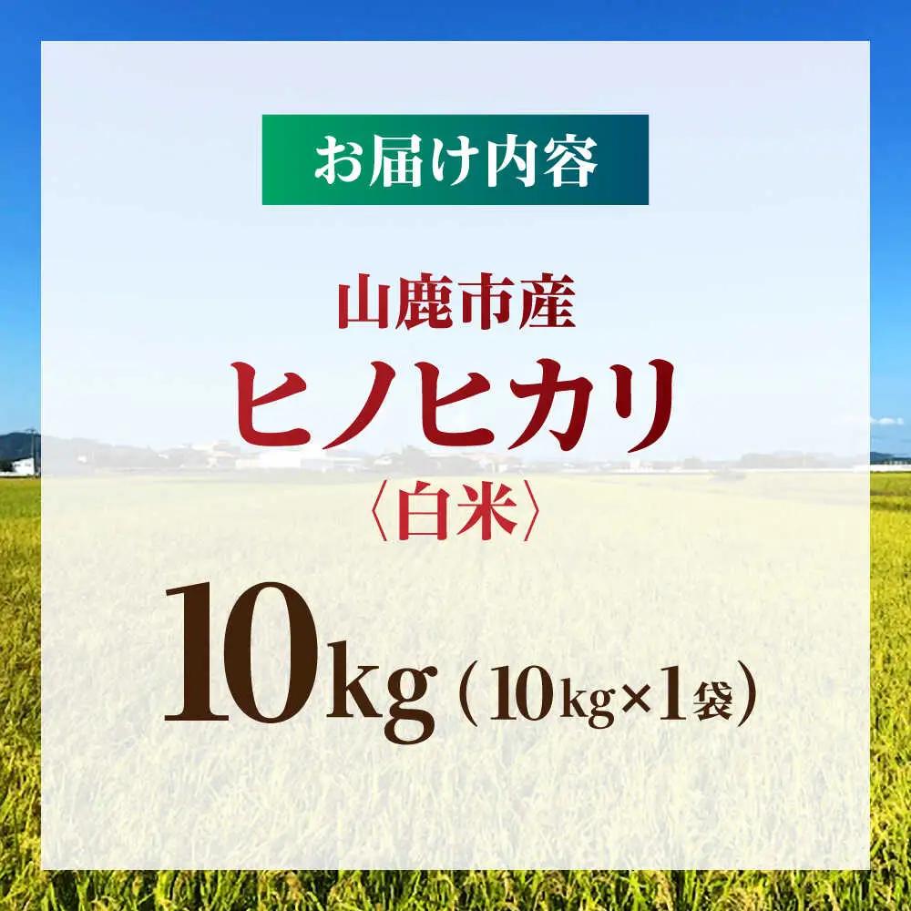 【先行予約】 令和8年度産 白米 ヒノヒカリ 10kg 【奥村果実園】 熊本 [ZFK010]