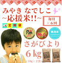 【ふるさと納税】【みやきなでしこ】応援米【6回定期便】【無洗米】さがびより6kg（3kg×2袋）（CI730）