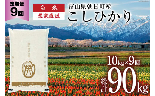 【9ヶ月定期便】米 こしひかり 精米 10kg 計 90kg[有限会社 クリーンみず穂 富山県 朝日町 34310352] お米 コシヒカリ コメ ご飯 ごはん 白米 農家 直送 一等米