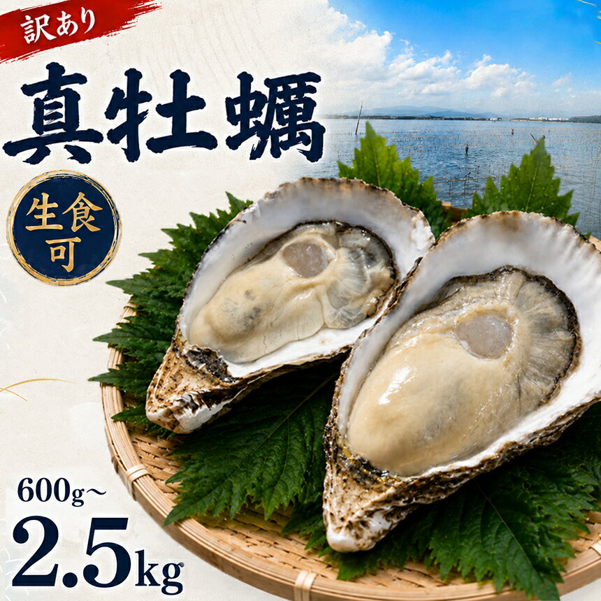 【ふるさと納税】【訳あり】殻付き真牡蠣 日付指定可 選べる 内容量 600g ～ 2.5kg | 牡蠣 カキ かき 真牡蠣 生食用 殻付き 海鮮 魚介 海のミルク 1.2kg 1.8kg おつまみ おかず 訳あり 家庭用 大分県 中津市