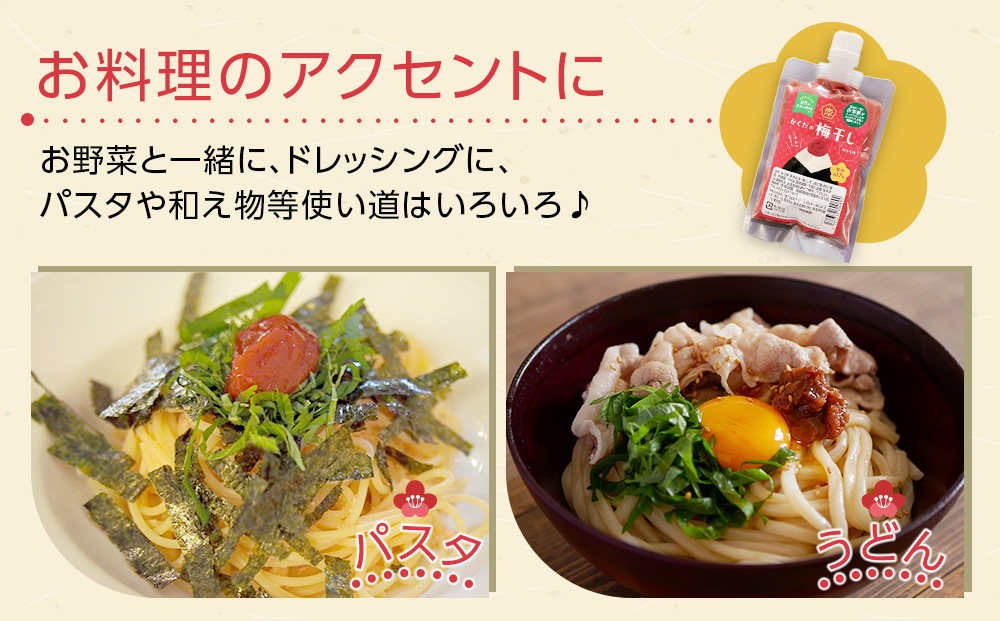 【2026年1月下旬より発送】梅干し ペースト 練梅 4パック 限定200個