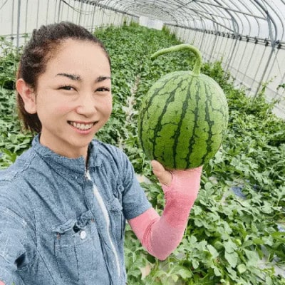 【今帰仁のすいか・ギフト箱】かりゆしすいか(小玉1.7kg)【配送不可地域：離島】