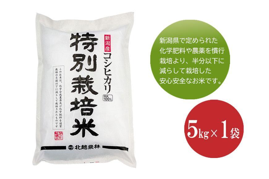 新潟産コシヒカリ 特別栽培米5kg  新米 令和6年産 新潟県認証米 精米 白米