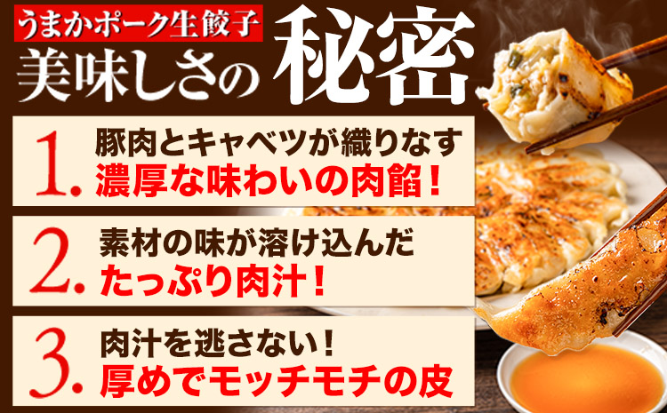 餃子 うまかポーク生餃子 30個 【3ヶ月定期便】タレ付き 大津町限定返礼品 冷凍餃子 ギョウザ《お申込み月の翌月から発送開始》大津町産豚肉使用 九州産キャベツ使用（大津町産含む）皮モチモチ 肉汁溢れ