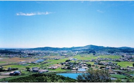 久保田アイスセットB 16個 | アイスクリーム カップアイス アイスキャンデー スイーツ アイス アイス  高知県