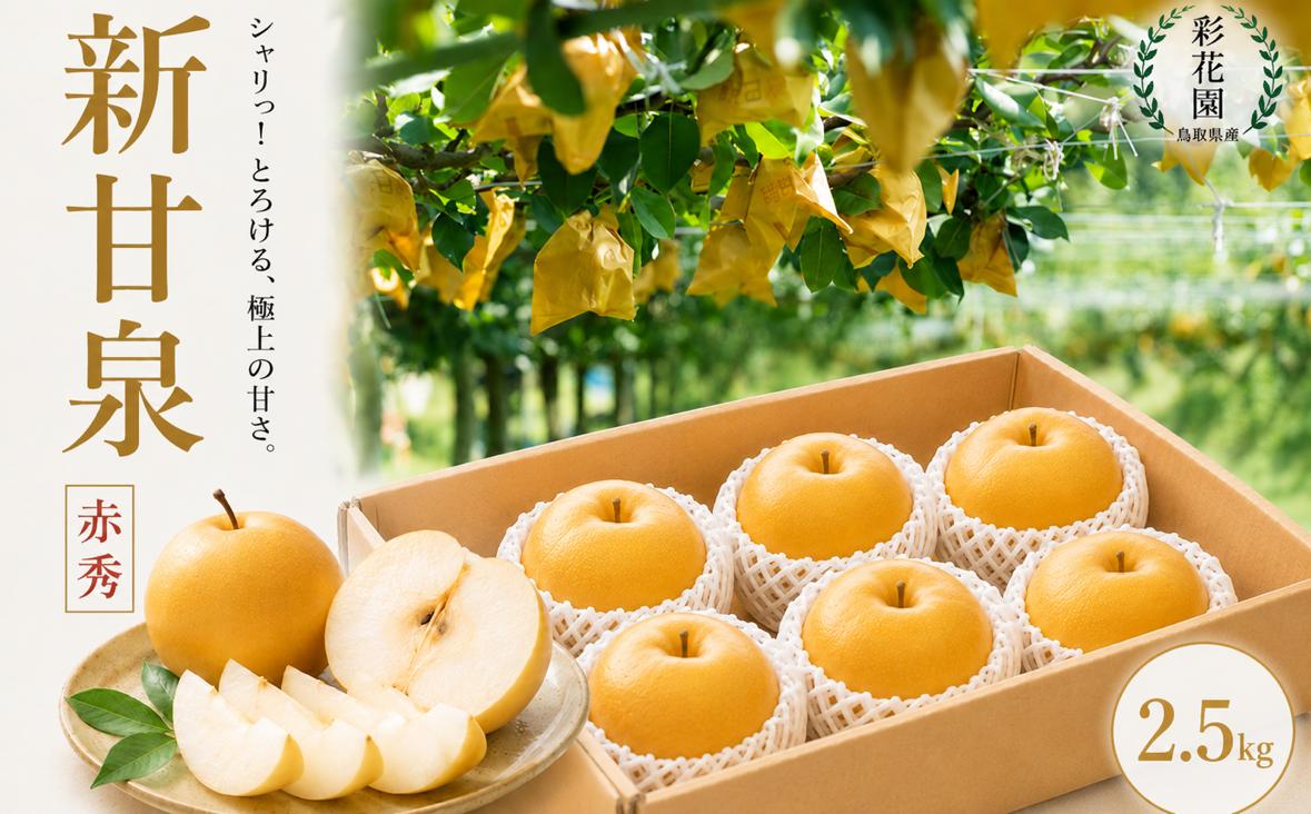 
                  新甘泉(赤秀) 2.5kg【彩花園】【もぎたて 旬 フルーツ 果物 オリジナルブランド 新品種 赤梨 梨 シャキシャキ 新甘泉】
                