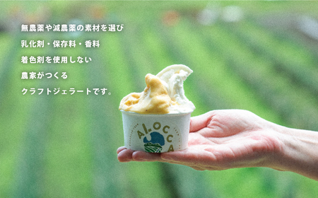 オーガニックタウン綾町から届く、季節のクラフトジェラート〈12個セット〉