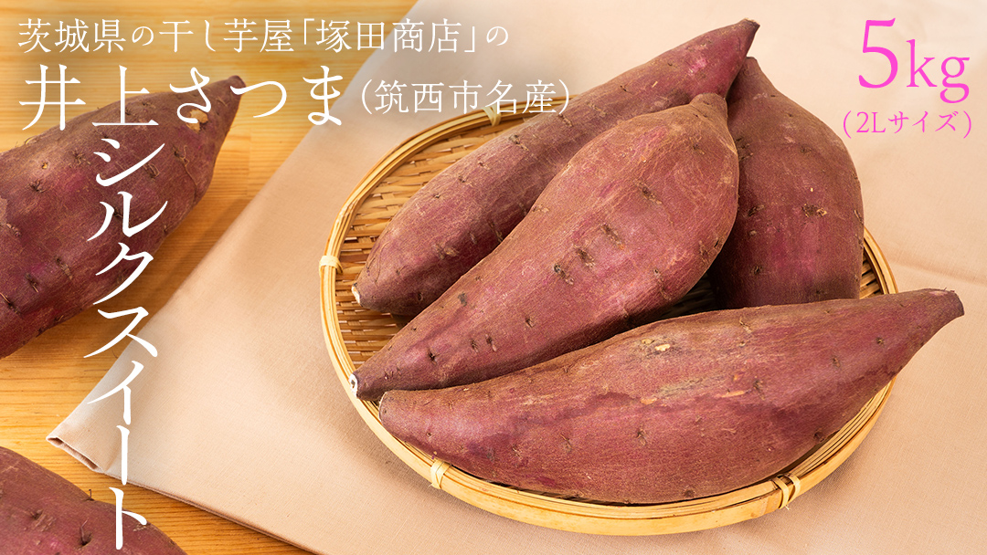 【 塚田商店 】 井上さつま 「 シルクスイート 」 5kg ( 2Lサイズ ) 新物 ブランド芋 茨城県産 筑西市産 さつまいも サツマイモ いも 芋 イモ [BD042ci]