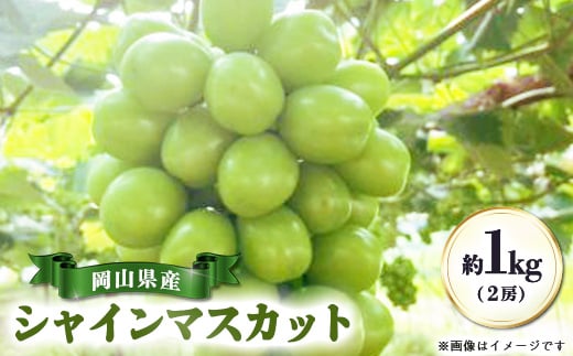 
                  ＜先行受付|9月上旬頃より順次発送＞岡山県産『シャインマスカット』　約1kg(2房)【1726918】
                