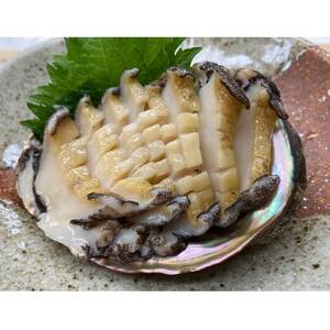 【南三陸町直送】三陸産天然活アワビ6～7個(約800g)　貝むきセット入【配送不可地域：離島・北海道・沖縄県・信越、北陸・東海・近畿・中国・四国・九州】【1371845】