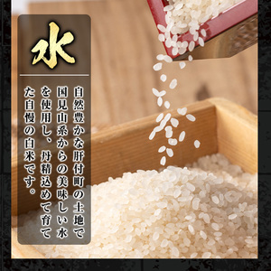 【A91033】＜先行予約受付中！2025年9月より準備が整い次第順次発送＞ 令和7年産 新米 鹿児島県産 なつほのか (計10kg・5kg×2袋) 国産 自家精米 精米 白米 ごはん ご飯 お米 コ