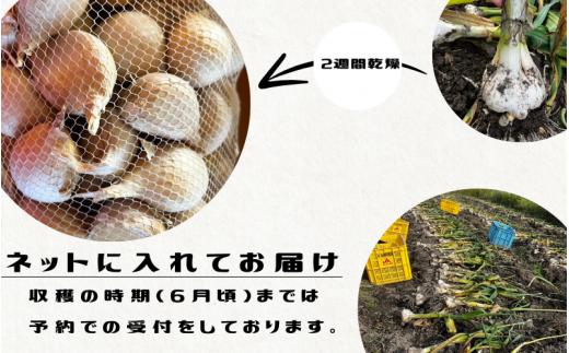 秘境の地からお届けする あゆみファームのご家庭用ジャンボにんにく 2kg【2025年7月下旬から順次発送】/ にんにく ニンニク ジャンボにんにく 予約受付 ガーリック 和歌山【aym010】