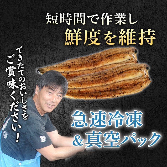 【0174320a】東串良町のうなぎ炭火白焼(無頭)(2尾・計約300g・タレ、山椒付) うなぎ 高級 ウナギ 鰻 国産 白焼き 鹿児島 ふるさと 人気【アクアおおすみ】