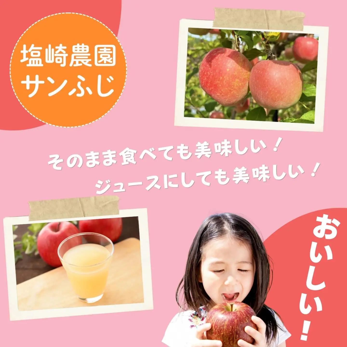 【先行予約丨2026年12月上旬より順次発送】サンふじ【約3kg(6〜12玉)】丨長野県 飯山市  (At-030)