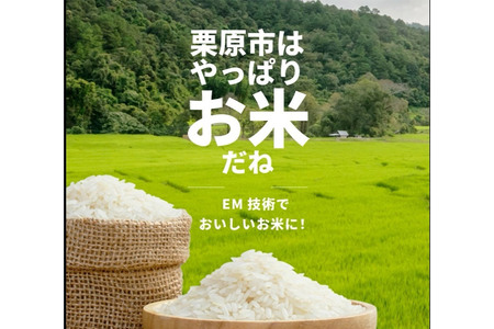 【EM栽培米・白米】宮城県栗原市産 ひとめぼれ 2kg