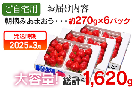 朝摘みあまおう約270g×6パック ※2024年1月～3月頃にかけて順次出荷予定 BD05