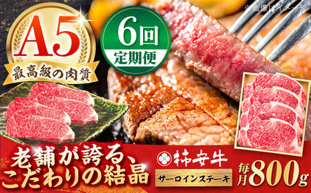 【6回定期便】最高級A5等級 三重県産 黒毛和牛 柿安牛 サーロインステーキ 800g / 国産牛 ブランド牛 牛肉 冷蔵 / 亀山市 / 柿安本店 [AMBW028]